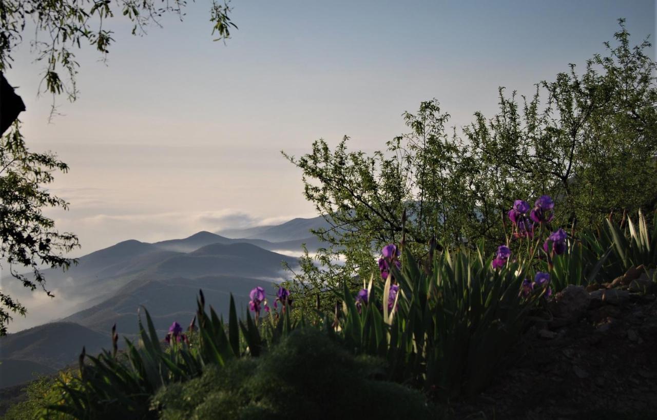 Cortijo Los Maximos Turon Zewnętrze zdjęcie