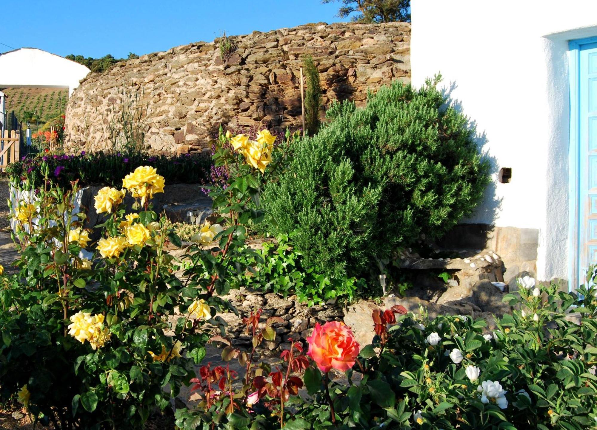 Cortijo Los Maximos Turon Zewnętrze zdjęcie