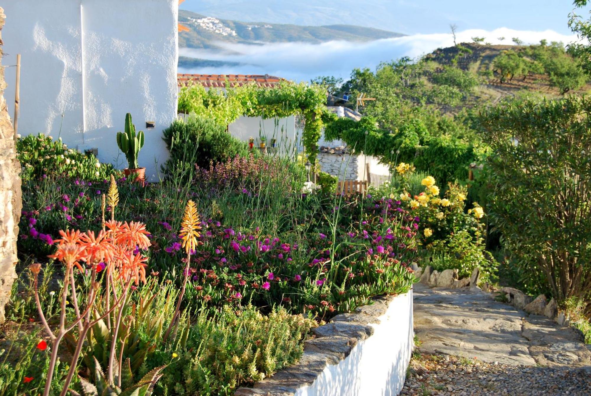 Cortijo Los Maximos Turon Zewnętrze zdjęcie