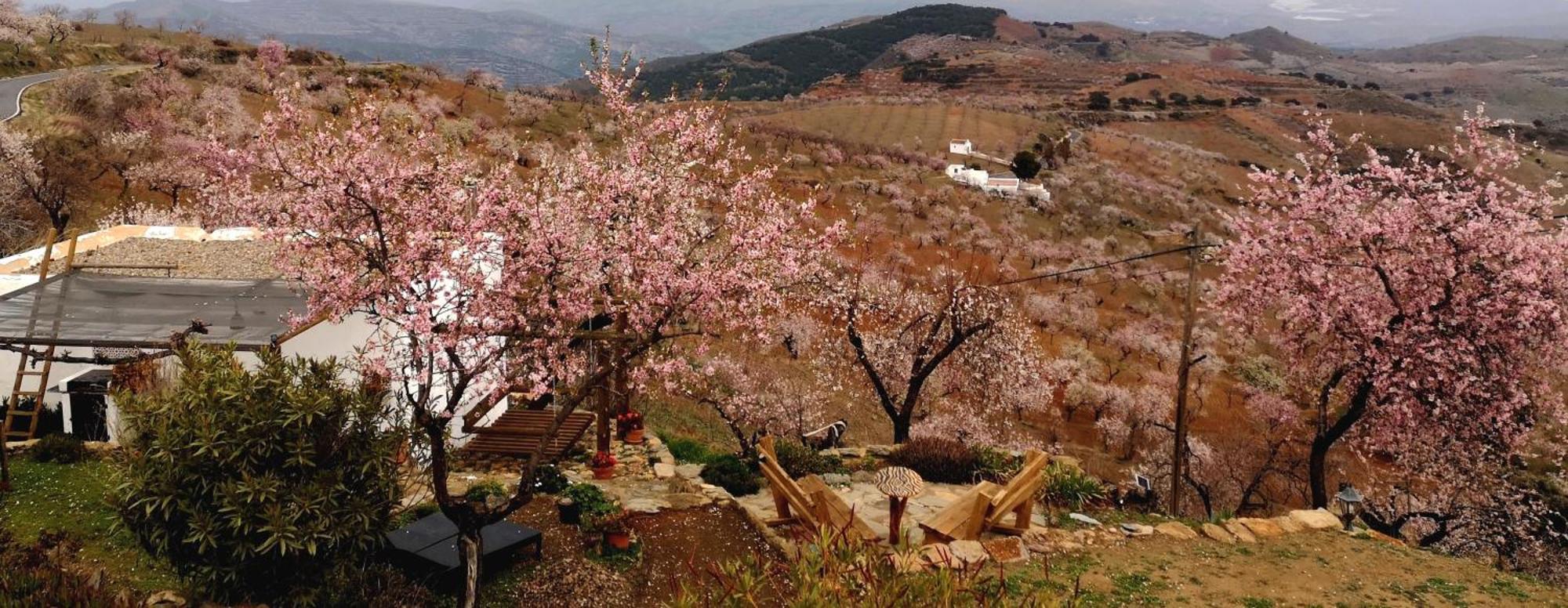 Cortijo Los Maximos Turon Zewnętrze zdjęcie