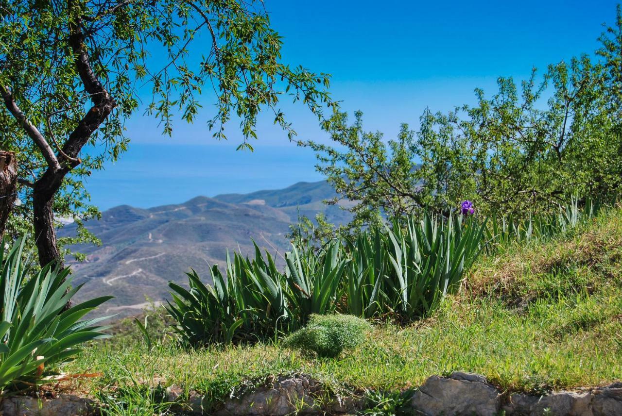 Cortijo Los Maximos Turon Zewnętrze zdjęcie